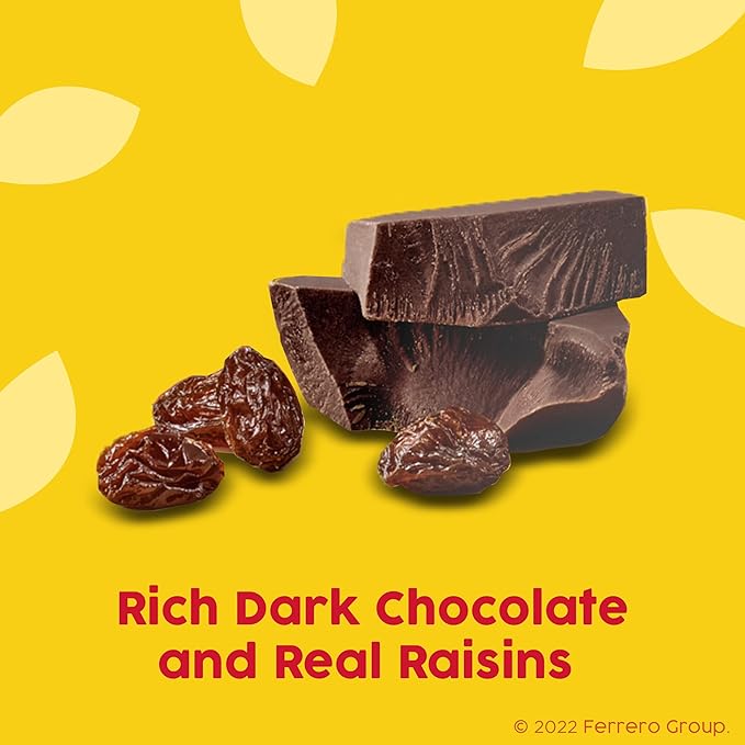 Raisinets, Dark Chocolate Covered California Raisins, Movie Theater Candy Box, 3.1 oz each, Bulk 15 Pack